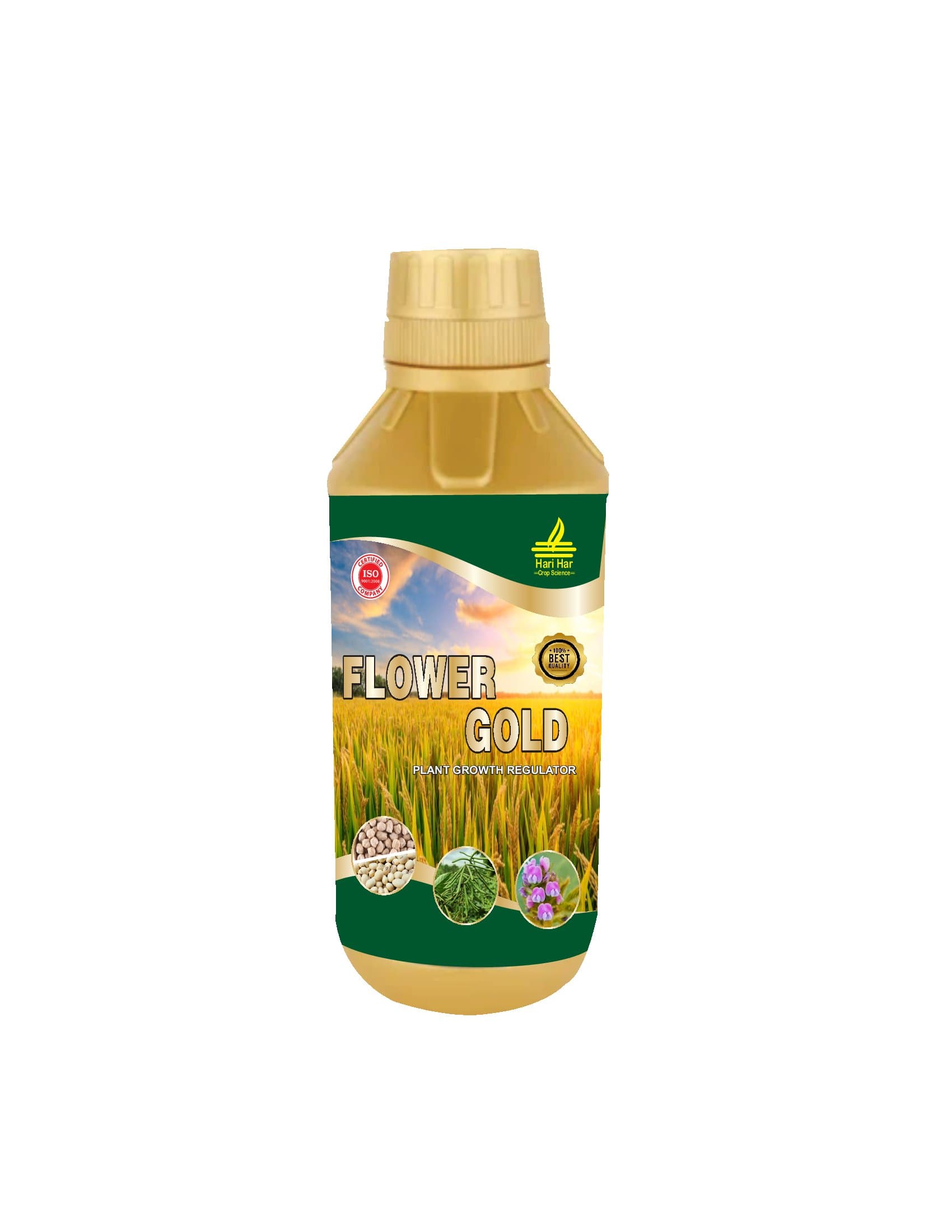 FLOWER GOLD